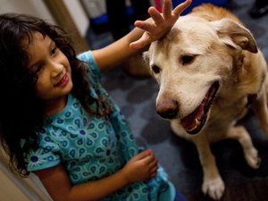 Therapy dog with child