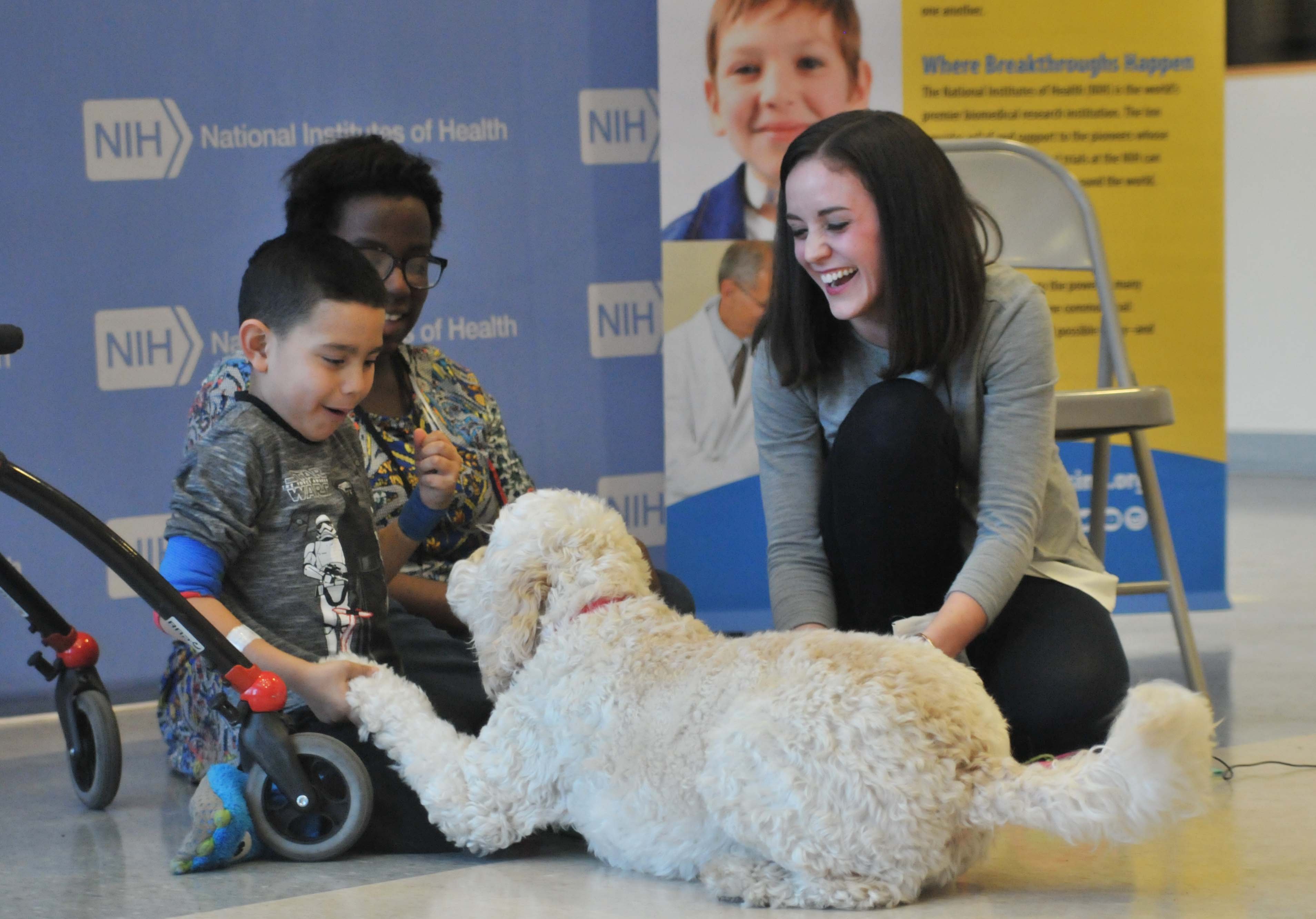 Jodan playing with Zilly during the NIH PuppyCam