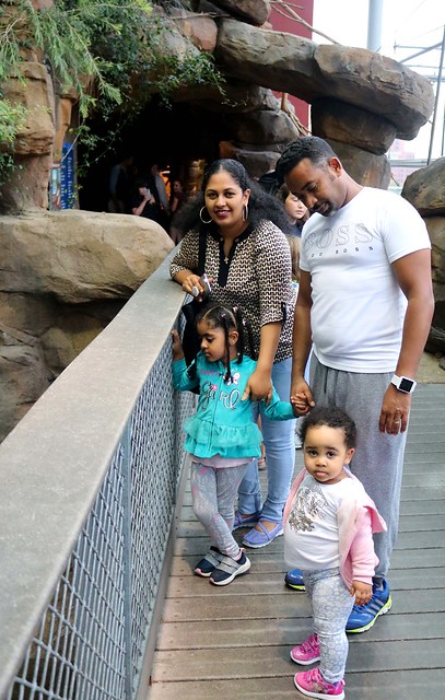 Inn families traveled to Baltimore’s Inner Harbor, where they visited the National Aquarium