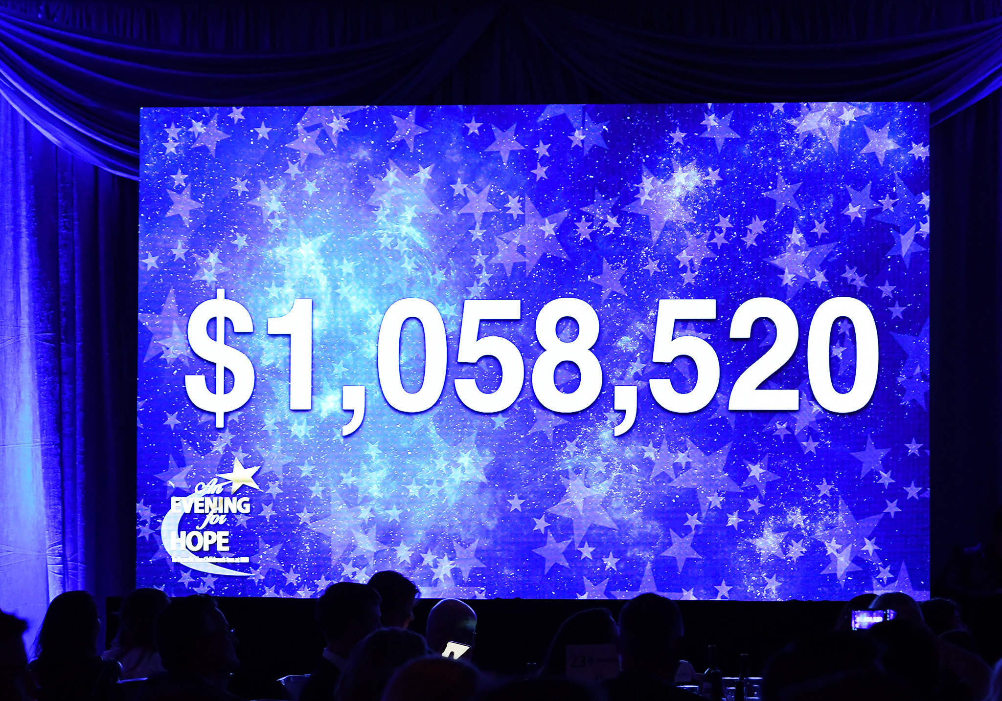 $1,058,520 raised in 2019 at E4H