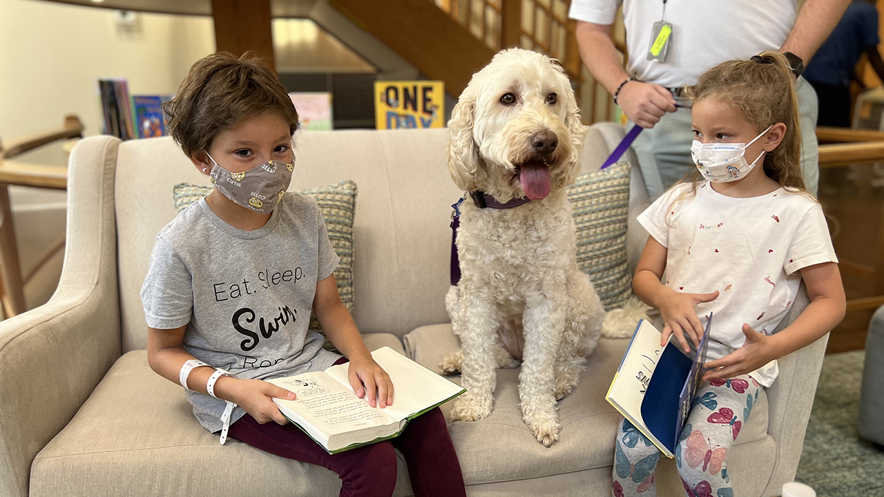 Photo of Zilly the therapy dog with two young girls on a couch
